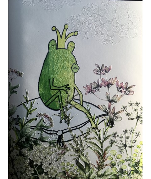 Relief photo wallpaper for a girl in the nursery Princess Frog Princess and Frog 100 cm x 150 cm