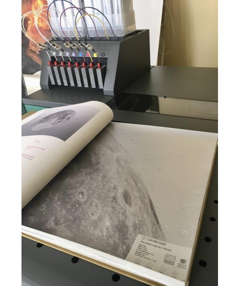 Фотообои 5D Одинокая Луна в космосе New Full Moon стиль футуризм дизайнерские для дома, офиса 400 см х 330 см