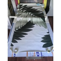 Распродажа уценка Постер листья пальма рисунок Замия Palm Zamia Furfuracea Mexican 124 см х 267 см