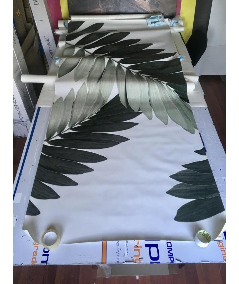 Sale Markdown Poster Palm Leaves Drawing Zamia Palm Zamia Furfuracea Mexican 124cm x 267cm