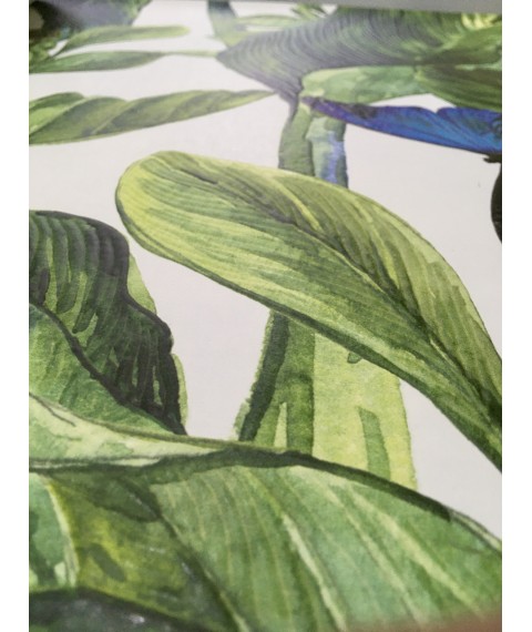 Gestaltungstafel f?r den Ruheraum, Empfangsraum Green Leaves Dimense print 310 cm x 280 cm