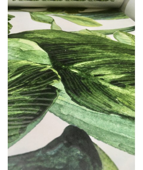 Флизелиновые обои на стену домашние растения Зеленый лист дизайнерские Green Leaves 250 см х 155 см