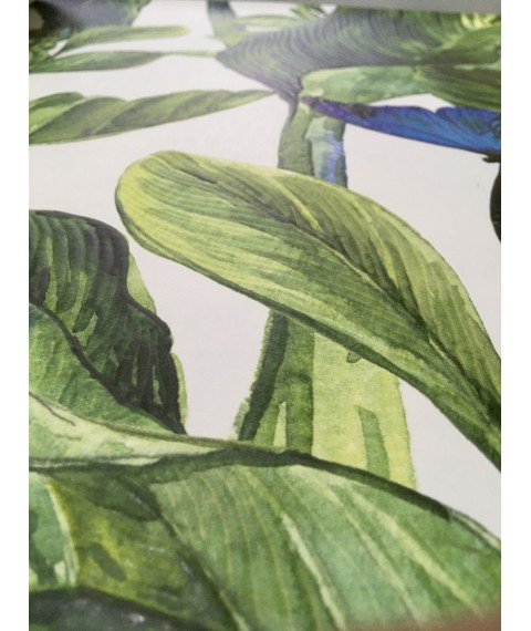 Wallpaper on the wall non-woven house plants Green leaf designer Green Leaves 150 cm x 150 cm