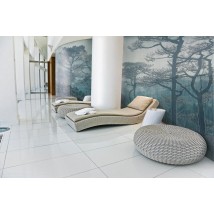 Эко шпалери Ліс в спальню Містичний ліс природа дизайнерські Misty Forest Dimense print 375 см х 270 см