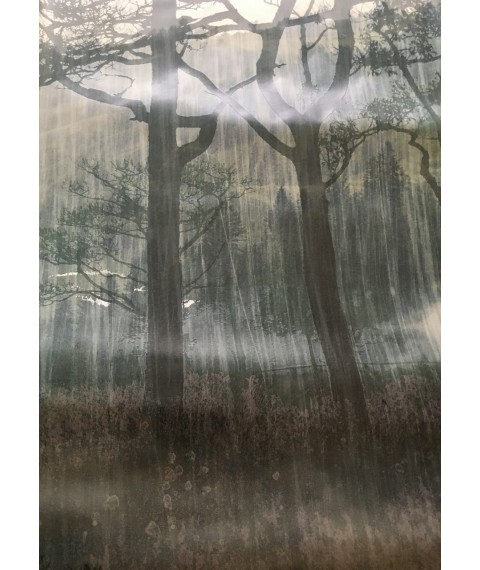 Розпродаж уценка знижка шпалери Ліс в спальню природа дизайнерські Misty Forest Dimense print 125 см х 270 см