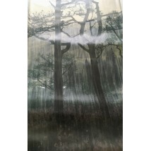 Розпродаж уценка знижка шпалери Ліс в спальню природа дизайнерські Misty Forest Dimense print 125 см х 270 см
