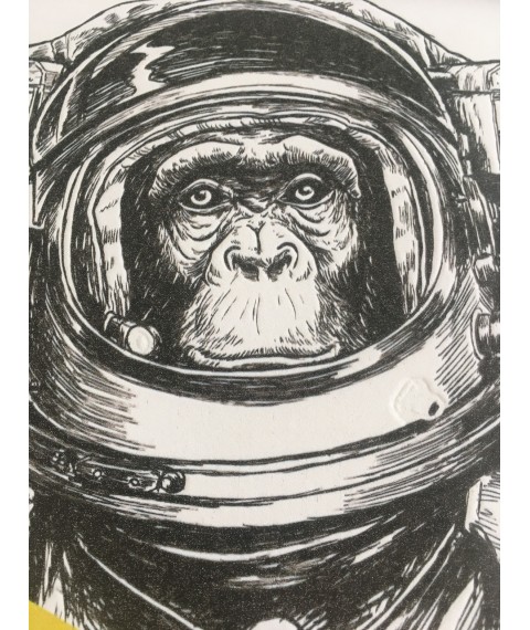 Poster Planet of the Apes Planet of the Apes Dimense print 100 cm x 100 cm