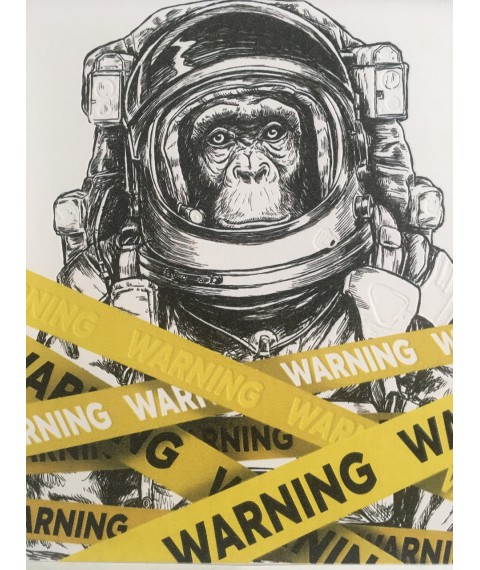 Posters on the wall Planet of the Apes Planet of the Apes Dimense print 50 cm x 50 cm