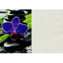 Vliestapete Design Blumen im Flur, Loggia, Flur Weave & Flowers 310 cm x 280 cm Muschel
