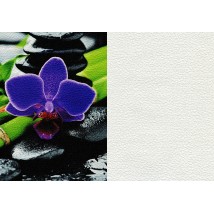 Флизелиновые обои Цветы обаяние в стиле Прованс дизайнерские Glamorous Flower 310 см х 280 см Leather