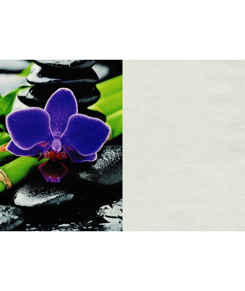 Vliestapete im Flur Retro-Stil Blumen ohne Vinyl Pastellblumen im Retro-Stil Ma?e 465 cm x 280 cm Schale
