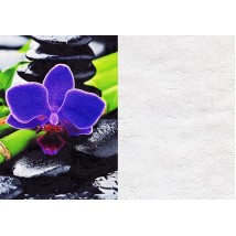 Non-woven trellises Charming quilts in Provence style designer Glamorous Flower Dimense print 465 cm x 280 cm Line