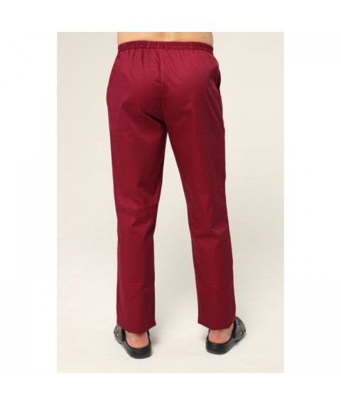 Men's medical pants, Burgundy 46