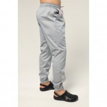 Men's medical pants Jackson, Light gray 48