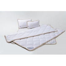 Goodnight.Store set (Max): Blanket 140x100 + Mattress cover 70x140 + Pillow 40x40 Children's color White
