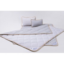 Goodnight.Store set (Standart): Blanket 220x200 + Pillow 40x60 2pcs. Euro color Gray / White in stripes