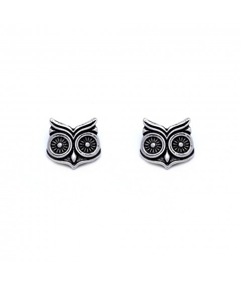 Owl earrings, stud