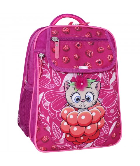 School backpack Bagland Excellent 20 l. 143 raspberry 899 (0058070)