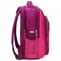 School backpack Bagland Schoolboy 8 l. raspberry (dog 18) (00112702)