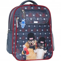 School backpack Bagland Excellent student of 20 l. 321 syriy 188k (0058070)