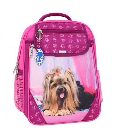 Рюкзак школьный Bagland Отличник 20 л. малина (собака 18) (0058070)
