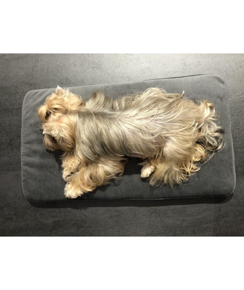 Betty Pretty dog ​​bed made of high-strength velor gray LDOG1