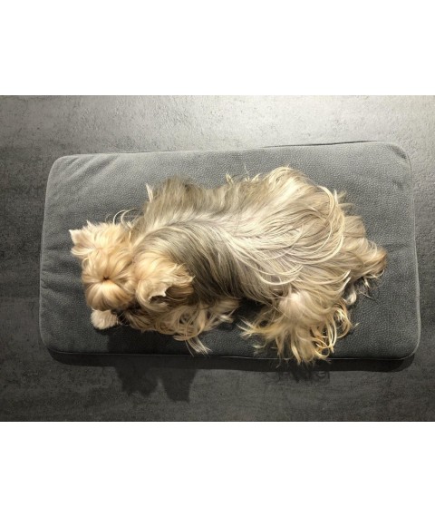 Betty Pretty dog ​​bed made of high-strength velor gray LDOG1