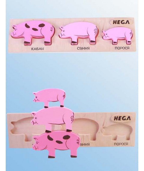 Set frame-insert HEGA Pigs