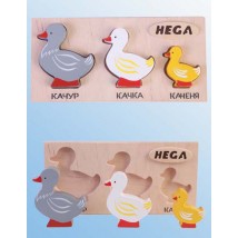 Set of frame-insert HEGA Ducks