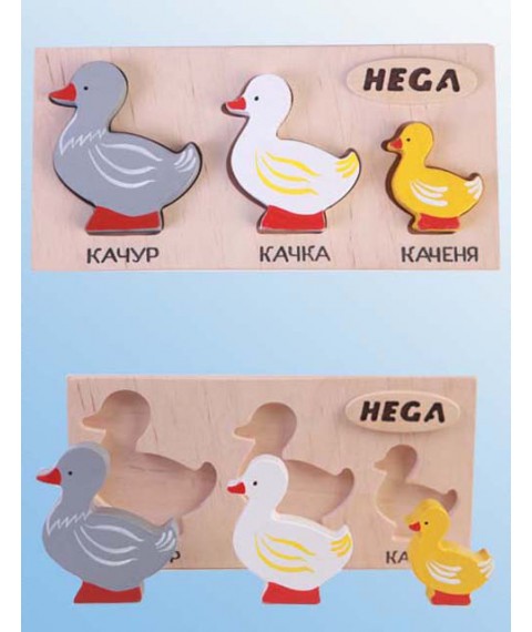 Set of frame-insert HEGA Ducks