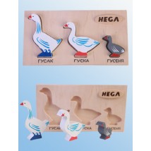 Set of frame-insert HEGA Geese