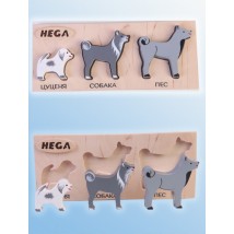 Set of frame-insert HEGA Dogs