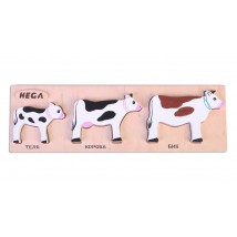 Set of frame-insert HEGA Cows