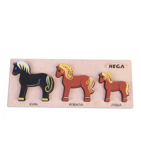 Set of frame-insert HEGA Horses