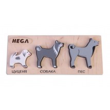 Set of frame-insert HEGA Dogs