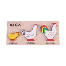 Set of frame-insert HEGA Chickens