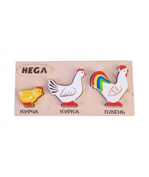 Set of frame-insert HEGA Chickens