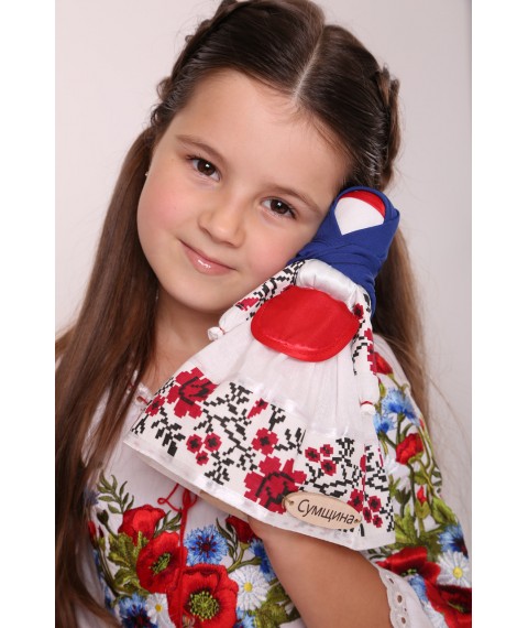 Набір ляльок HEGA в Національному одязі за областями України з плакатом А3