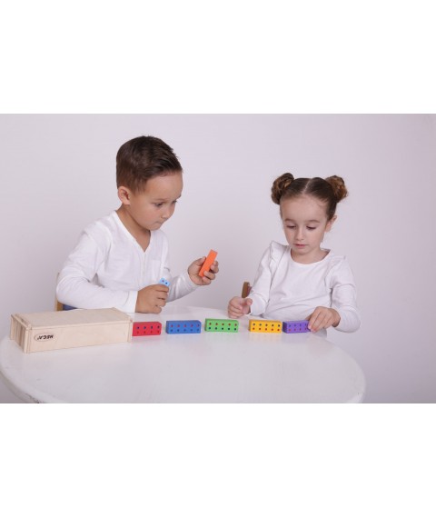 Educational game HEGA Bricks