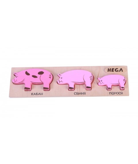 Set frame-insert HEGA Pigs