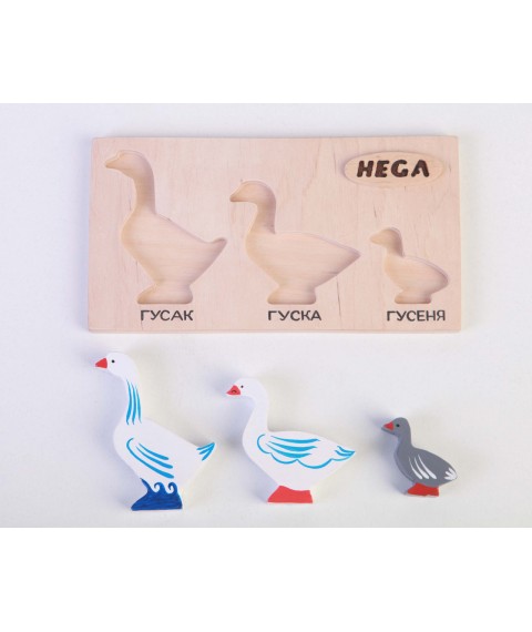 Set of frame-insert HEGA Geese
