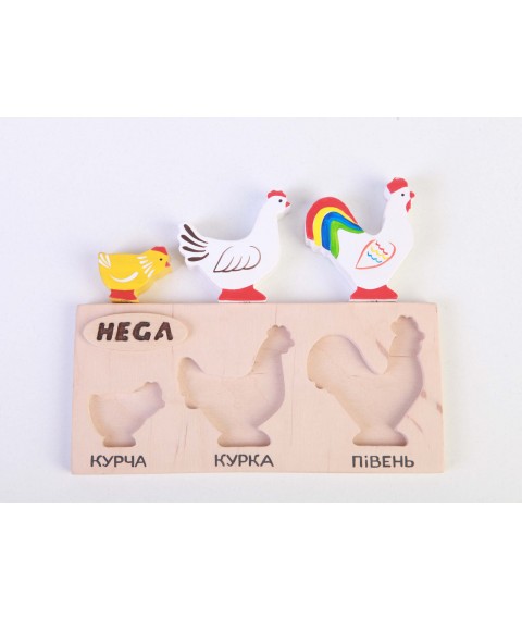 Set of frame-insert HEGA Chickens