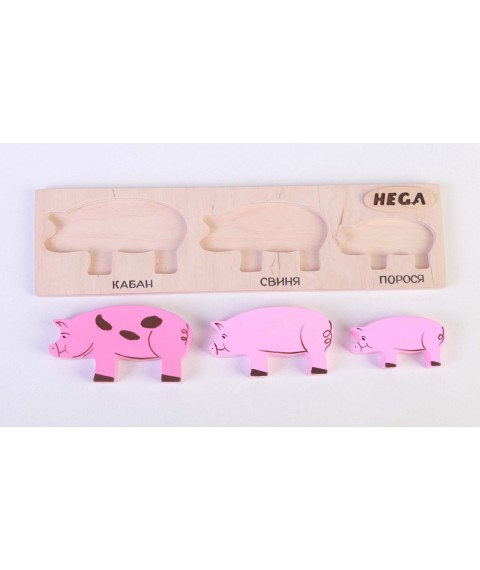 Set frame-insert HEGA Pigs