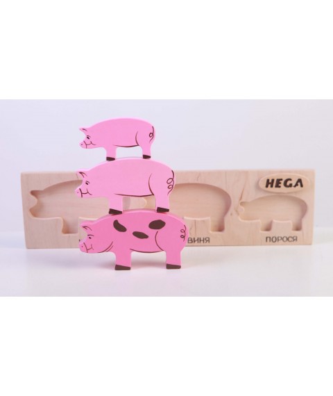 Set frame-insert HEGA Pigs