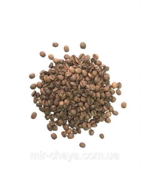 Coffee beans Arabica Brazil Cerrado TM Nadine 200g in a tube