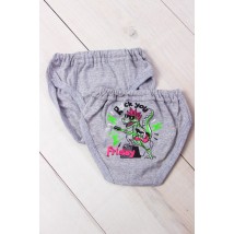 Boys' underpants with a print of Nosy Svoy 34 Gray (271-001-33-v59)