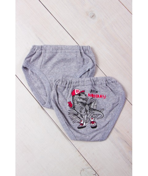 Boys' underpants with a print of Nosy Svoe 30 Gray (271-001-33-v0)