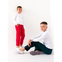 Штани для хлопчика Носи Своє 152 Червоний (6266-057-v13)