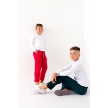 Pants for boys Wear Your Own 170 Red (6266-057-v26)