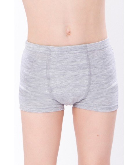 Boxer briefs for boys Wear Your Own 104 Gray (6317-036-4-v4)